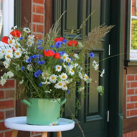 ホテル Plater Hermann