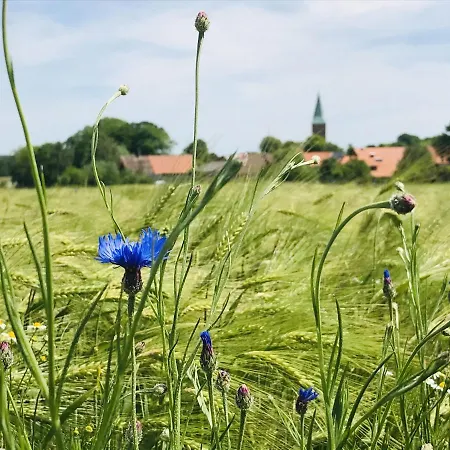 ホテル Plater Hermann リュッホ