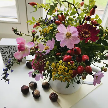 Plater Hermann 3* Luchow