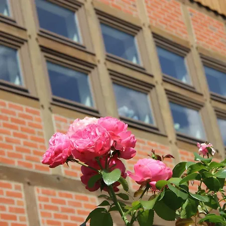 Plater Hermann ホテル 3*